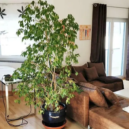 - Bei Tati 95qm アパート *